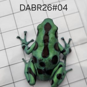 Dendrobates auratus Bronce