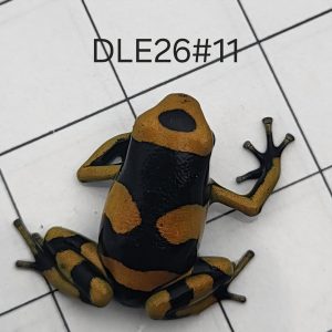 Dendrobates leucomelas
